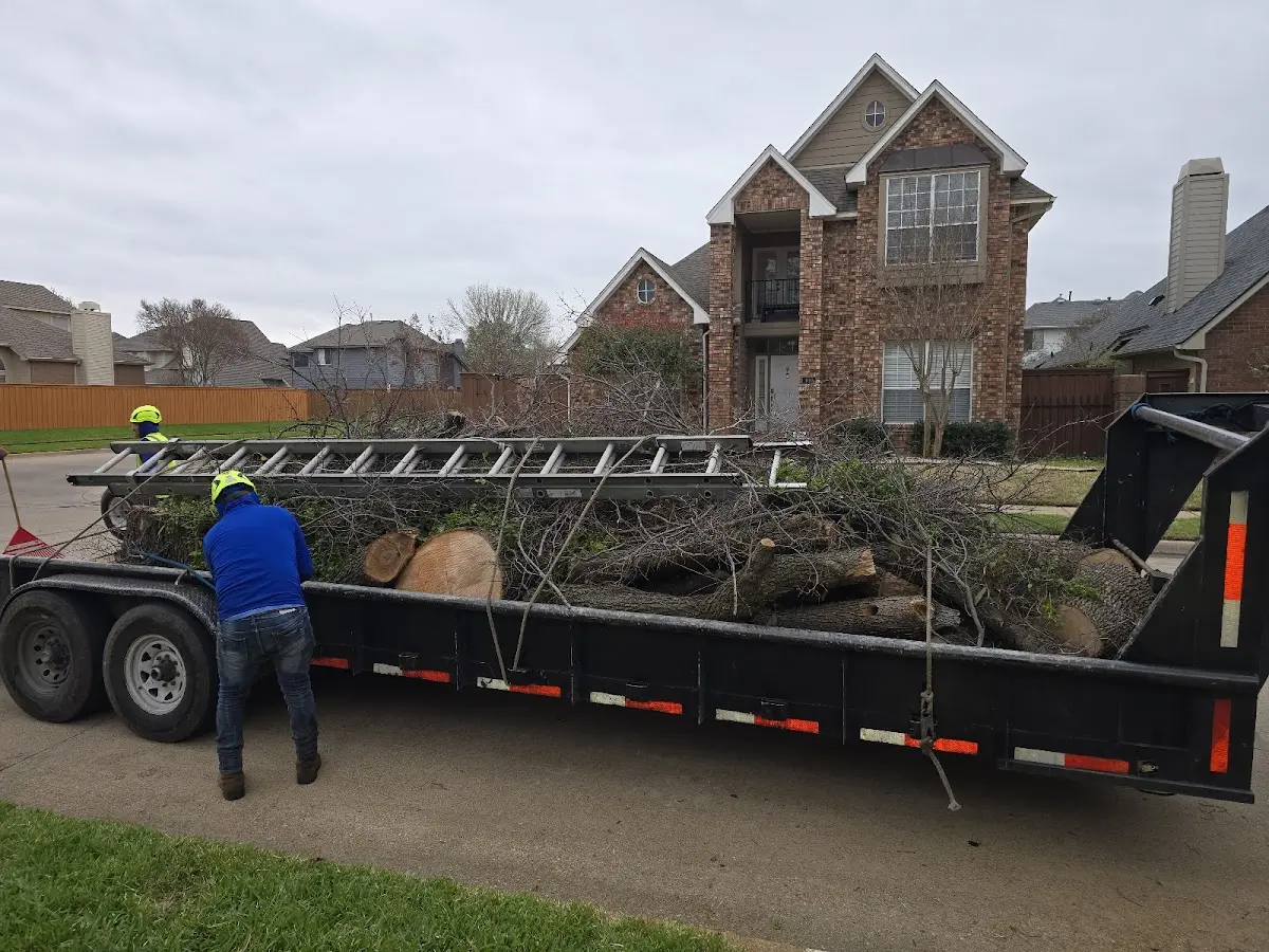 Expert Crown Reduction with proper safety equipment in Richwood
